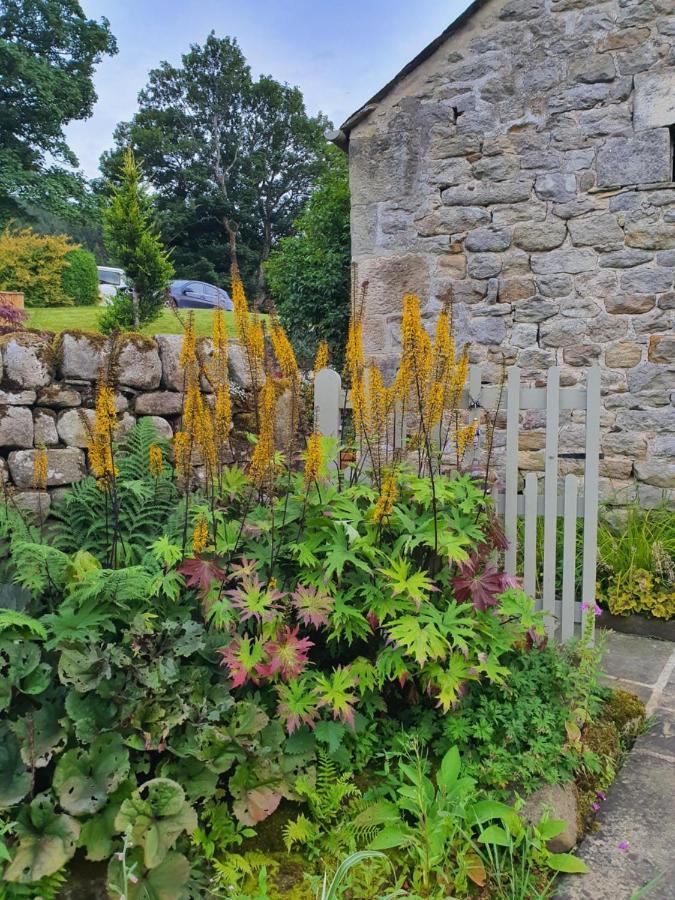 Howgill Farm Bolton Abbey Appletreewick Exteriör bild